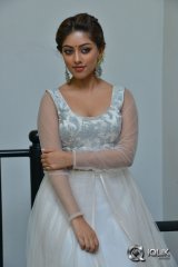 Anu Emmanuel at Kittu Unnaadu Jagratha Movie Gummadikaya Function